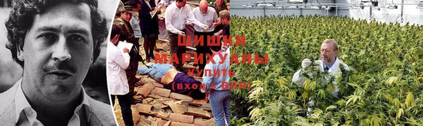прущая мука Киреевск