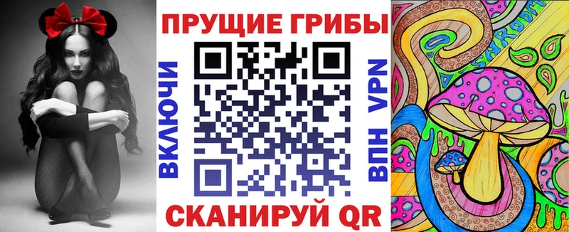 Купить  Краснодар  Галлюциногенные грибы Cubensis 